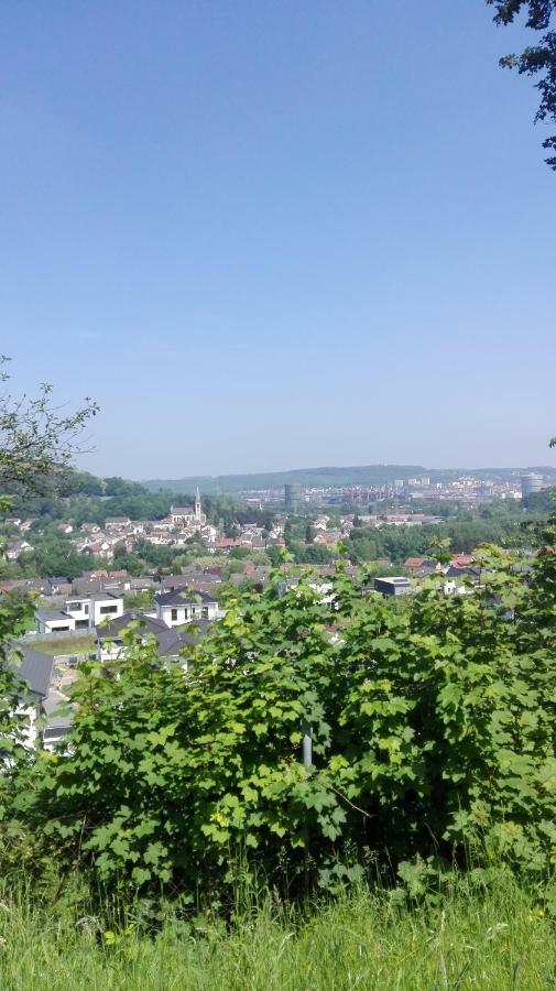 Ferienwohnung Niklas Völklingen Exteriér fotografie